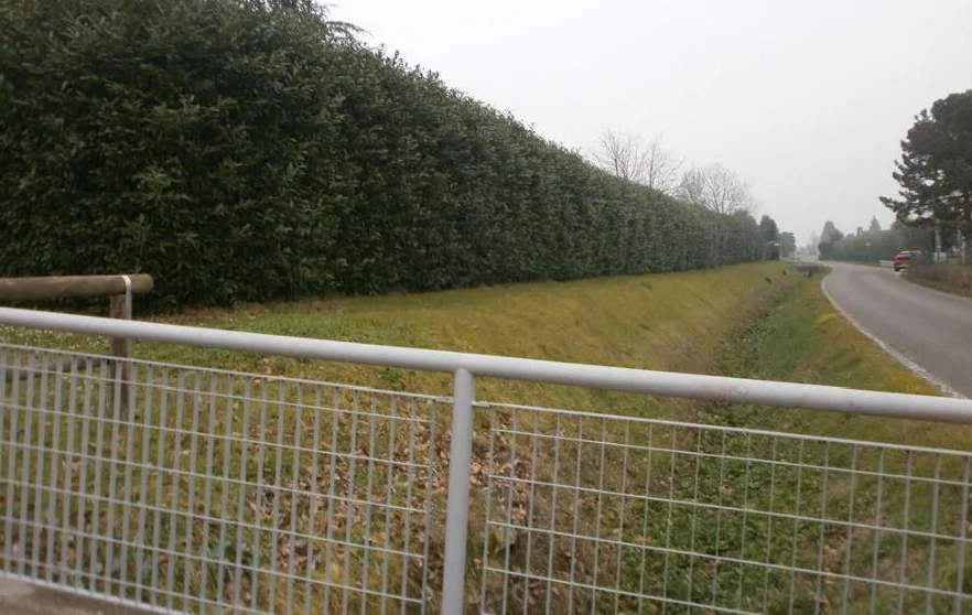 Villa bifamiliare con corte esclusiva e terreno agricolo