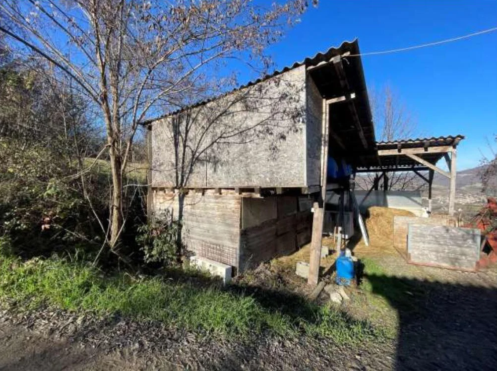 Terreni agricoli in Travo, Località Stazzano