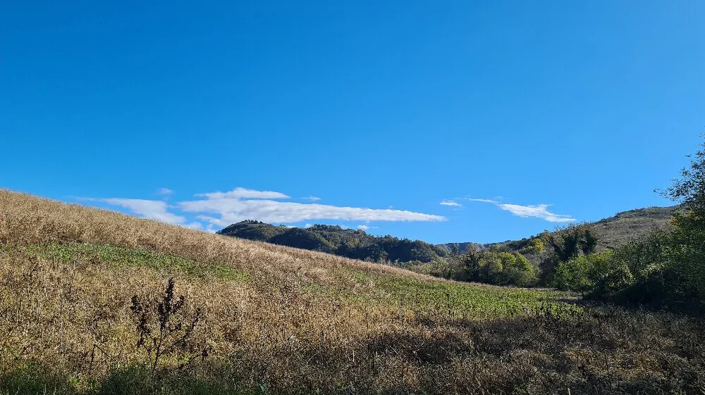 Terreni agricoli e boschivi in via Cavaioni, Bologna