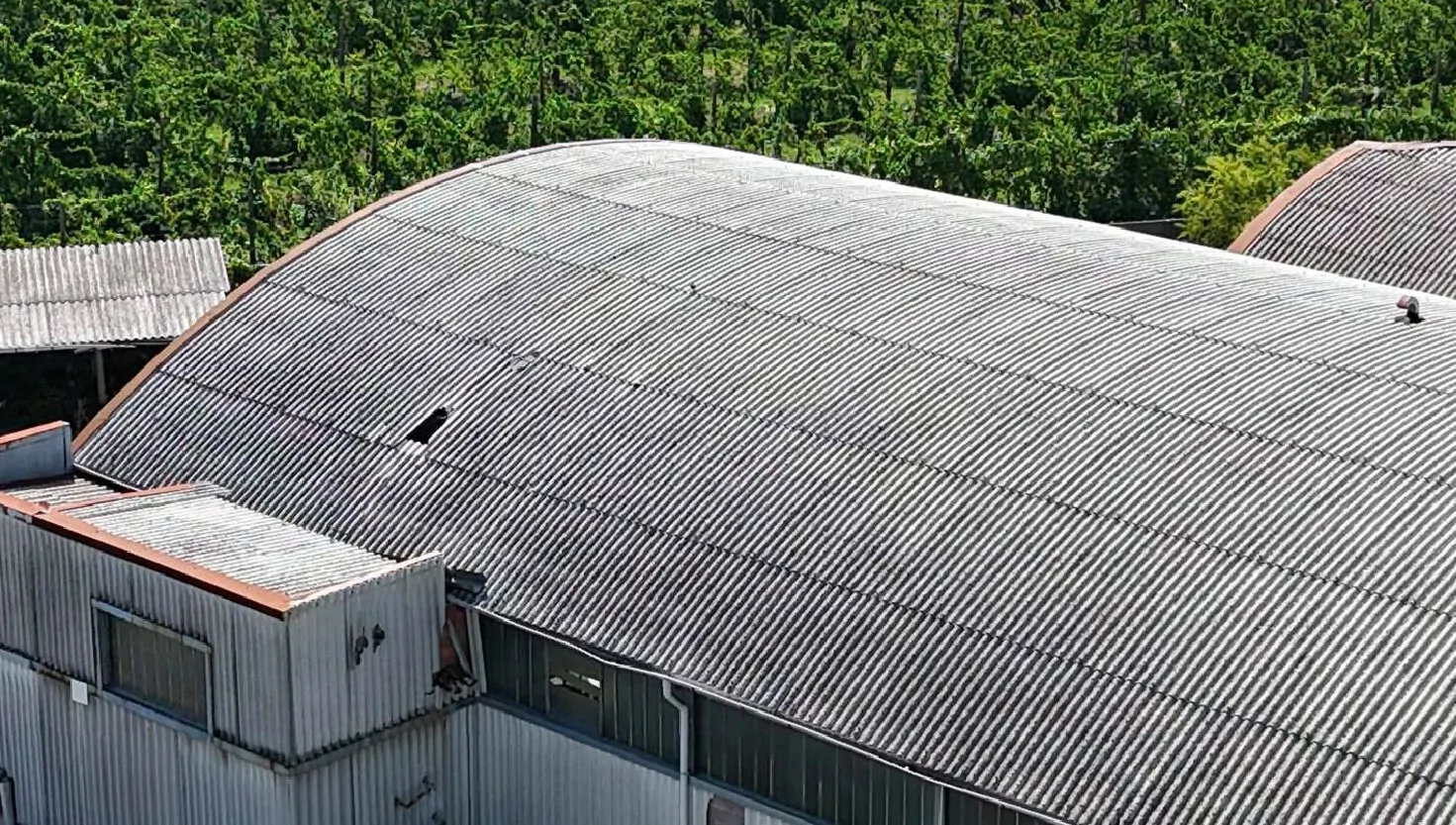 Fabbricato industriale con uffici, officina, magazzini e tettoie a Cotignola