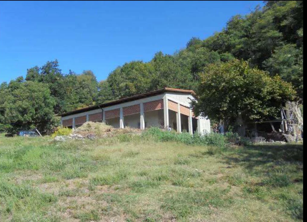 Lotto 2: fabbricati rurali e terreni in Via Madonna delle Vigne