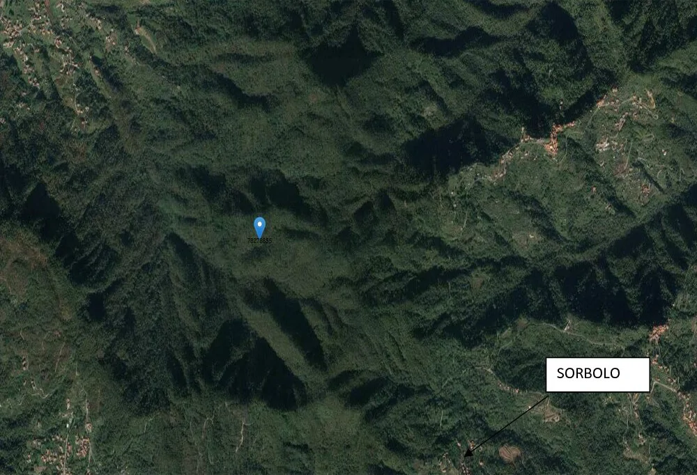 Bosco misto a Follo, Località Costa del Ronco e Costa di Bargarino