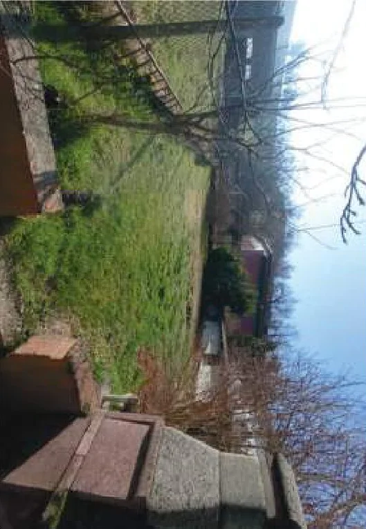 Aste immobiliari a Borgo Priolo