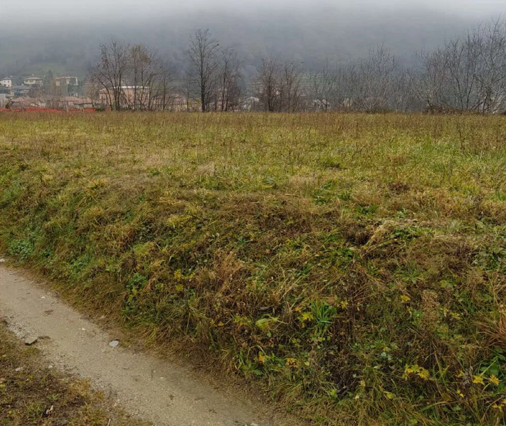 Terreni boschivi e residenziali a Castello di Brianza