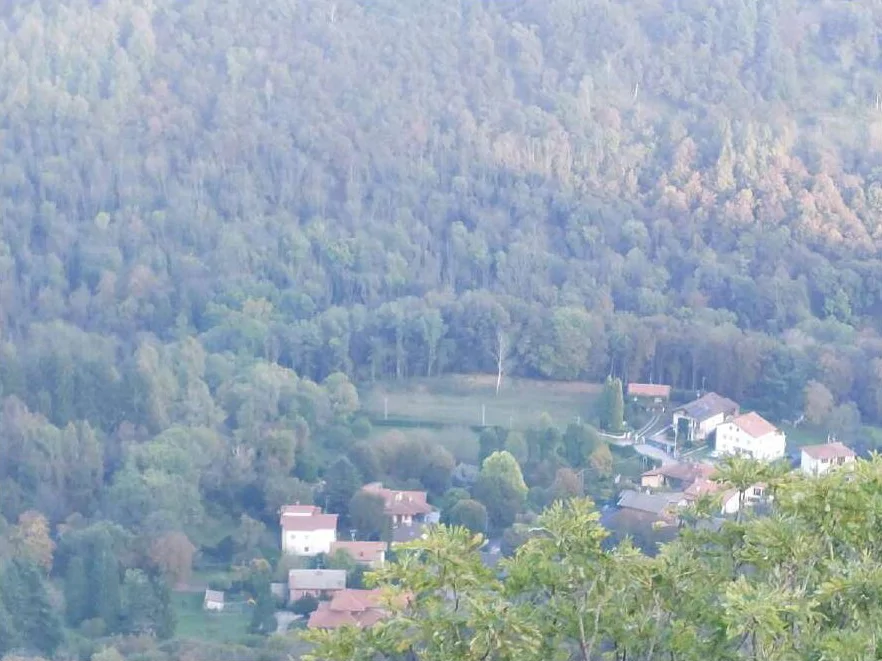 Terreni boschivi in località Rasa, Varese