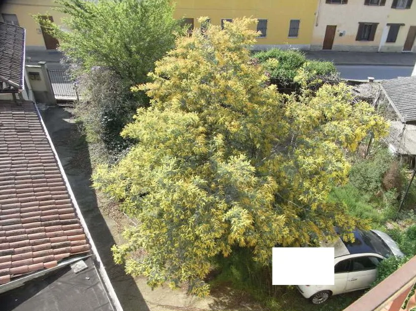 Complesso immobiliare in Dorno: edificio residenziale, rustico e uffici