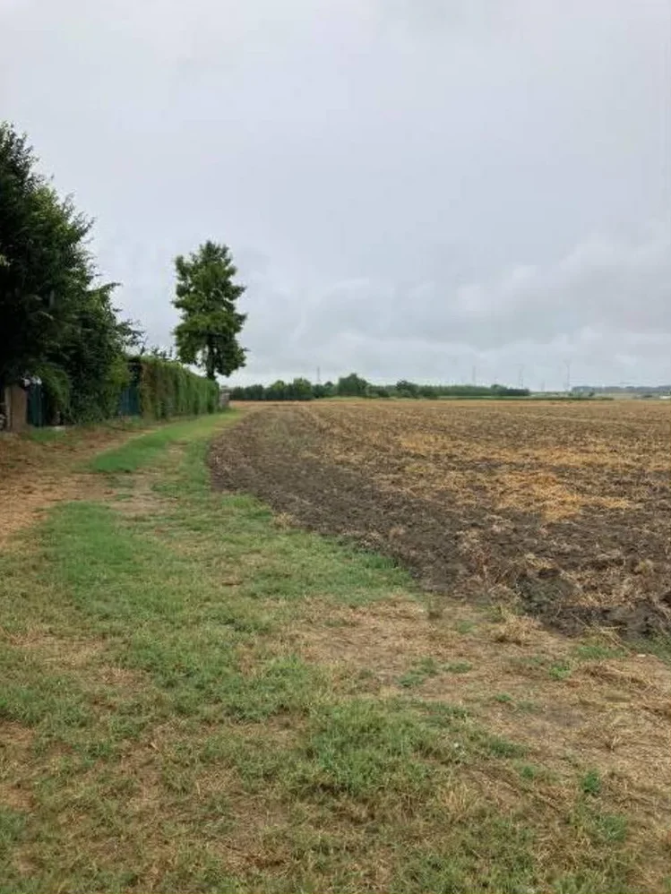 Terreno agricolo di 1,42 ettari in località Correggioli, Ostiglia