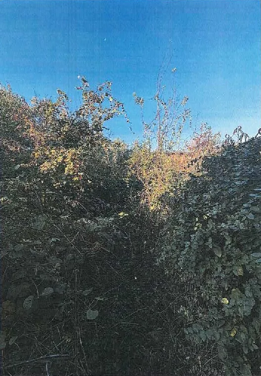 Terreno edificabile intercluso in Via Canazza, Legnano