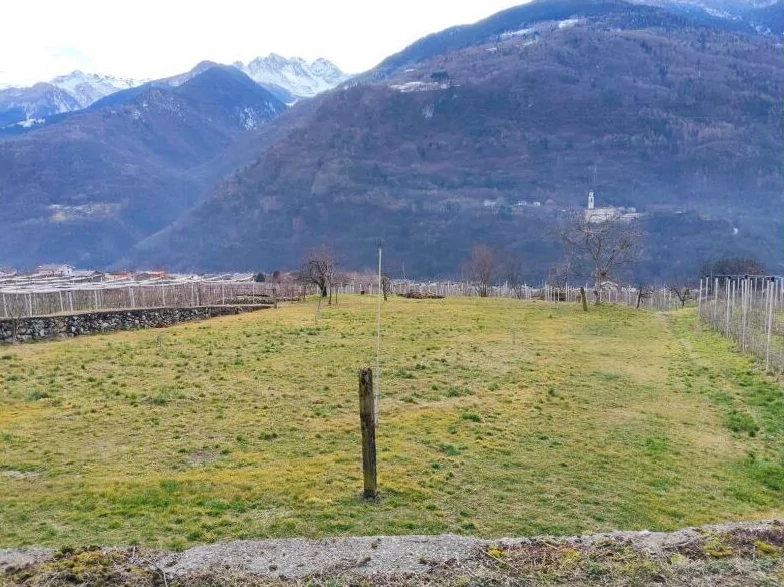 Lotto 1: terreni agricoli e magazzino agricolo a Ponte in Valtellina