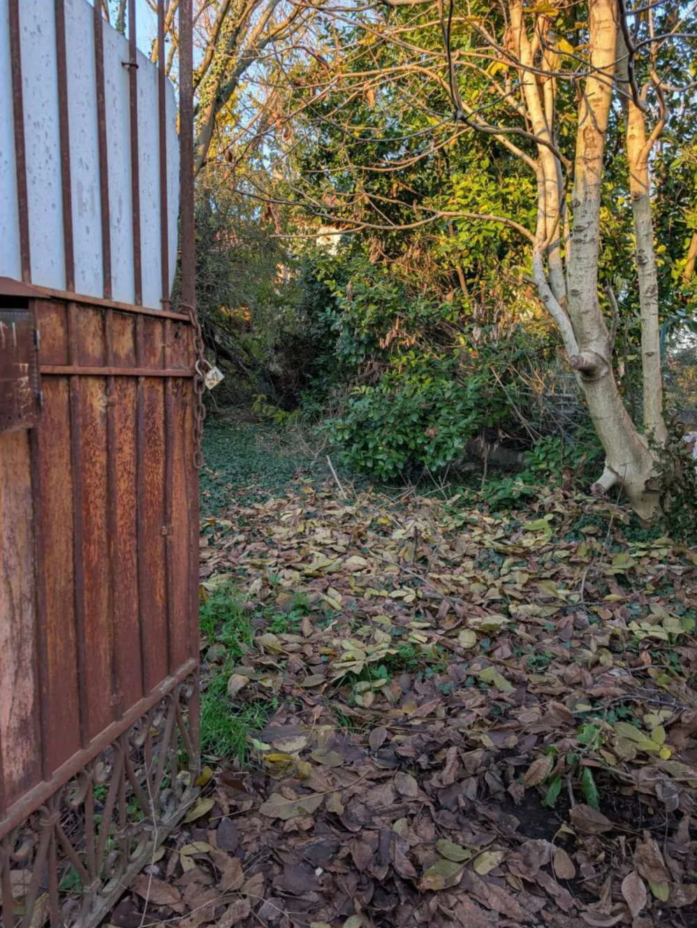 Casa padronale con due case coloniche in Cingia de' Botti