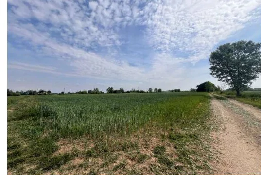 Terreni agricoli in Remedello (BS), Lotto 4