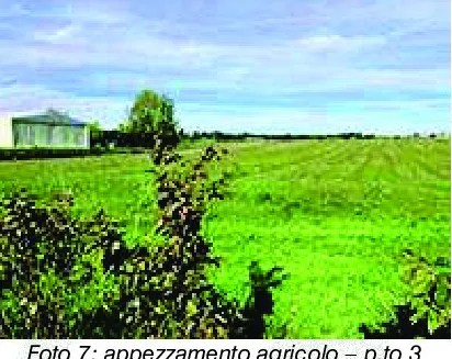 Aste giudiziarie Alessandria