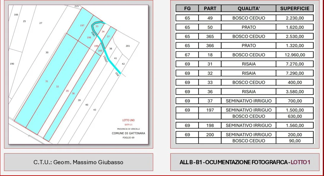 Terreni agricoli a Gattinara, 43.880 mq