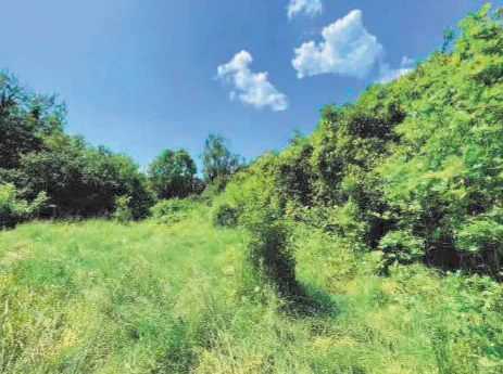 Terreni edificabili e area AP a Cossato