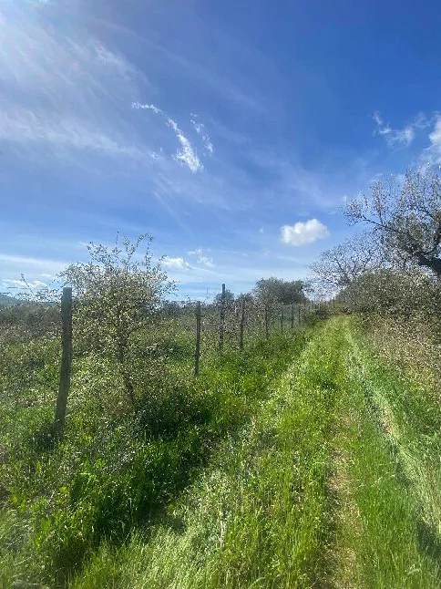 Villetta con terreni agricoli a Manciano