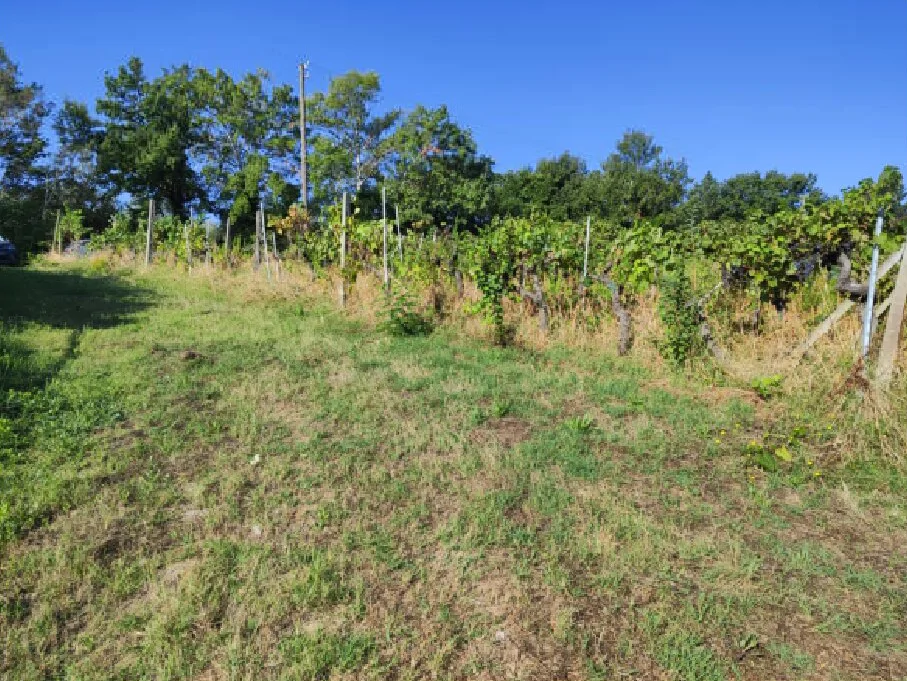 Terreni agricoli a Gambassi Terme