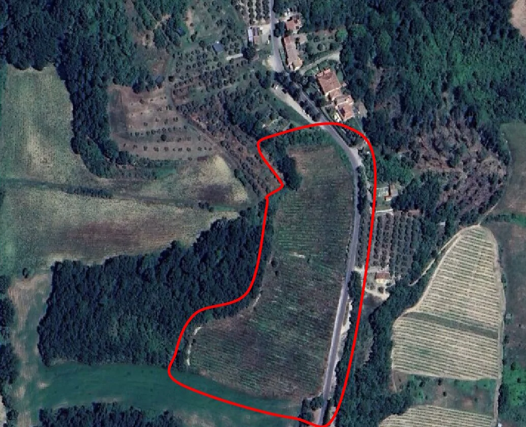 Terreno agricolo a vigneto in Montespertoli
