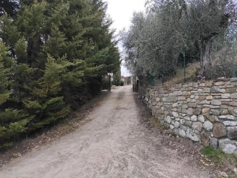 Aste immobiliari a Rufina