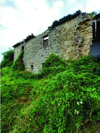 Azienda agricola con fabbricati rurali e terreni in Arcidosso