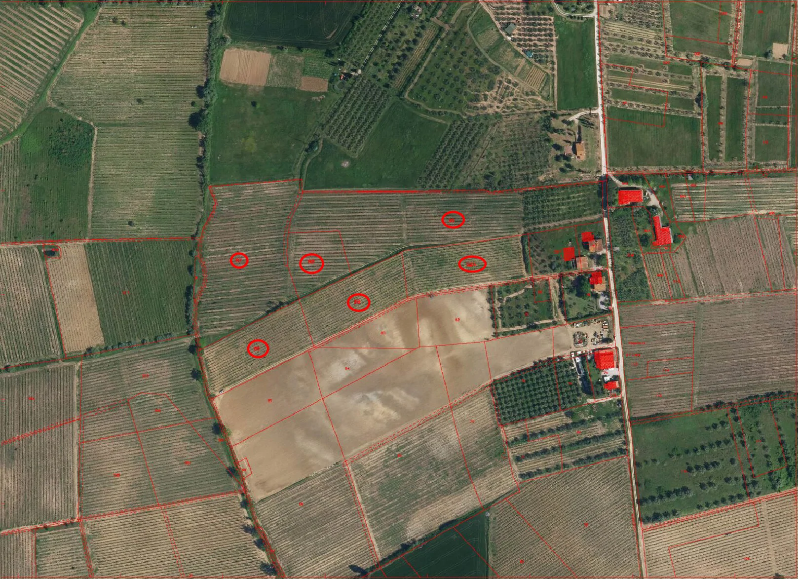 Terreno agricolo a Vinci, vigneto e uliveto