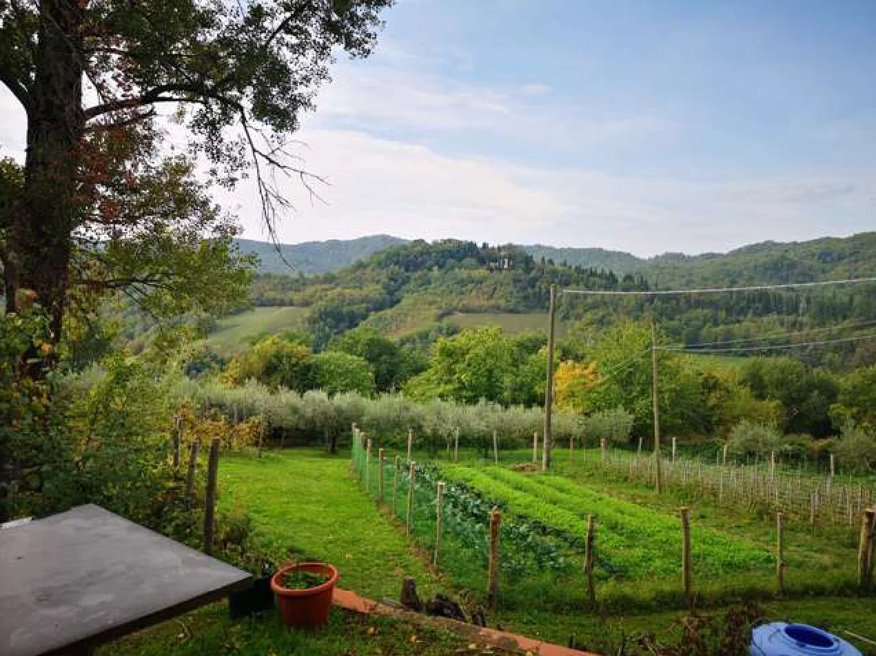 Terreni agricoli e boschivi in località Il Saltino