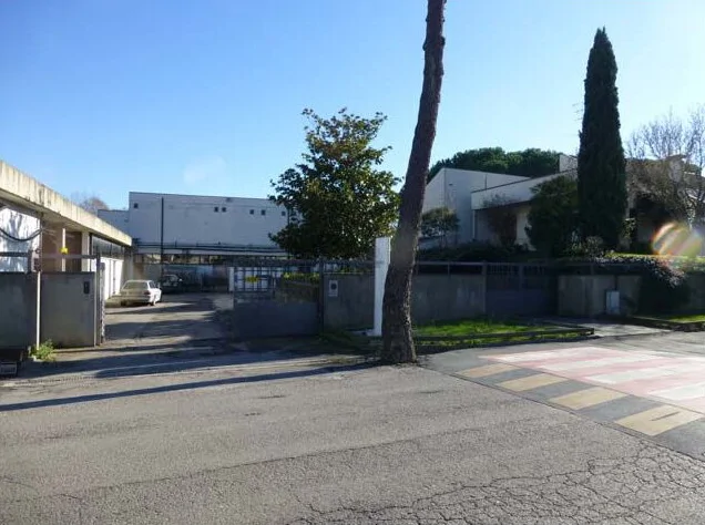 Fabbricato industriale ad uso salumificio con terreni attigui