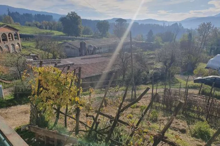 40 appezzamenti di terreno a Pieve Fosciana