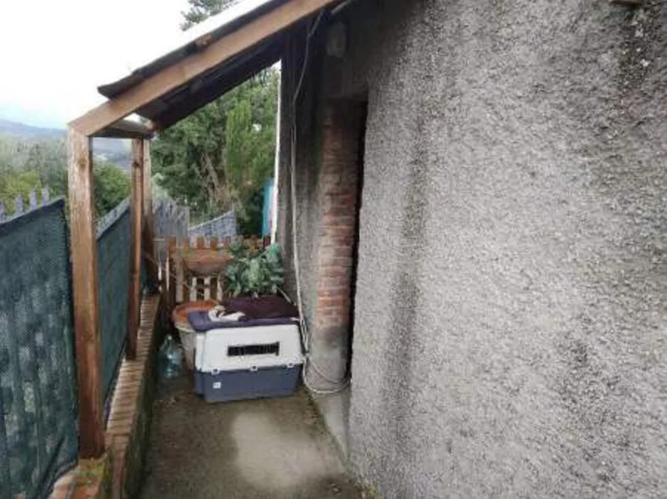 Appartamento a Certaldo con terreno e fabbricato rurale