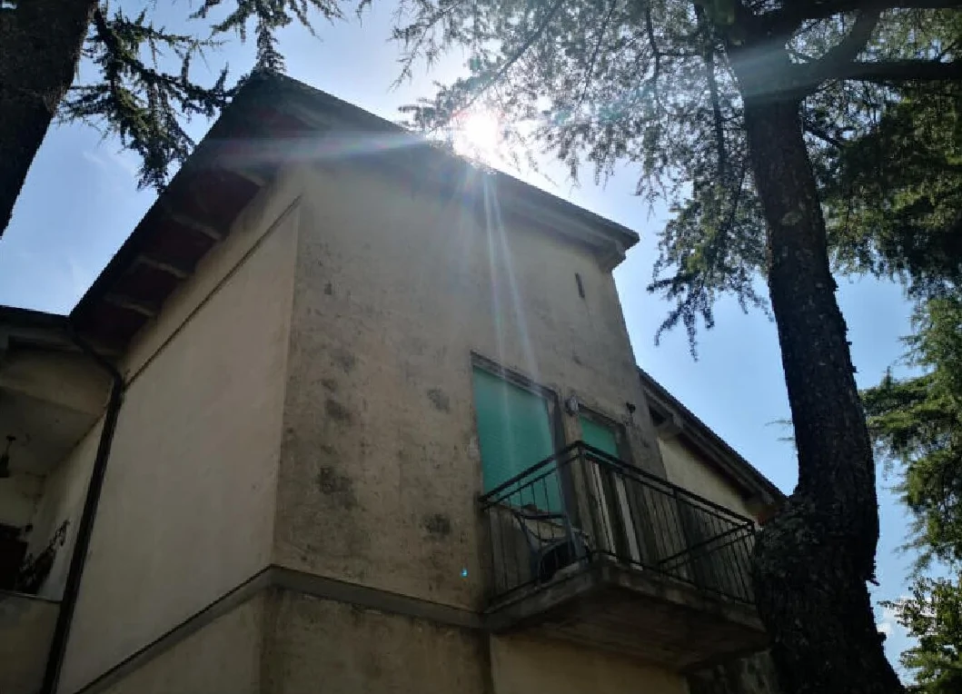 Appartamento con due cantine e quota di locale a comune