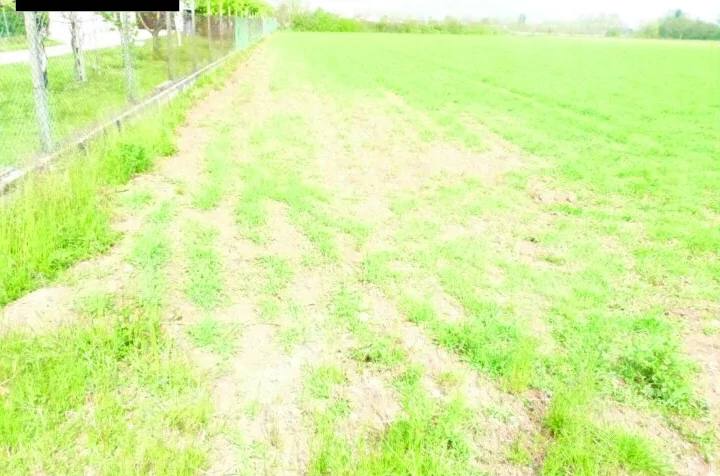 Aste immobiliari a Paese