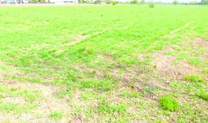 Terreni agricoli in Via Cal Morgana, Paese (TV)