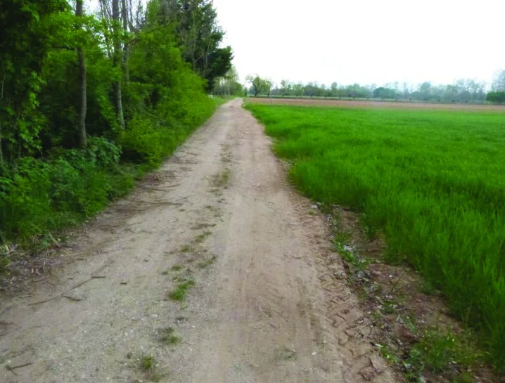 Terreni agricoli in Paese e Istrana