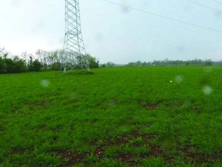 Terreni agricoli in Comune di Paese, Via Gasparini