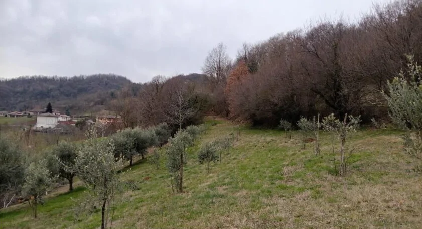 Aste immobiliari a Chiampo