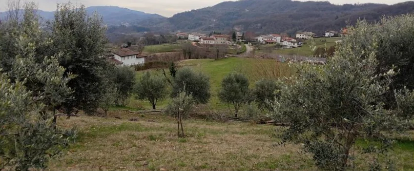 Immobili occupati da terzi all'asta in provincia di Vicenza