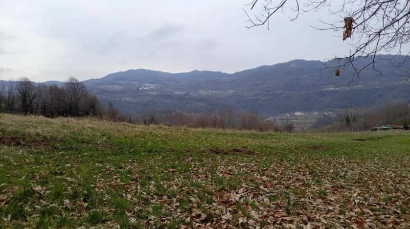 Terreni agricoli in Chiampo, Via Faggiana