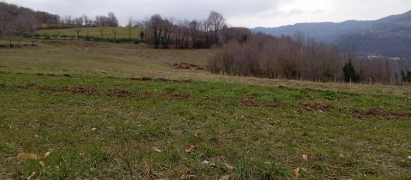 Terreni agricoli in Chiampo, Via Faggiana