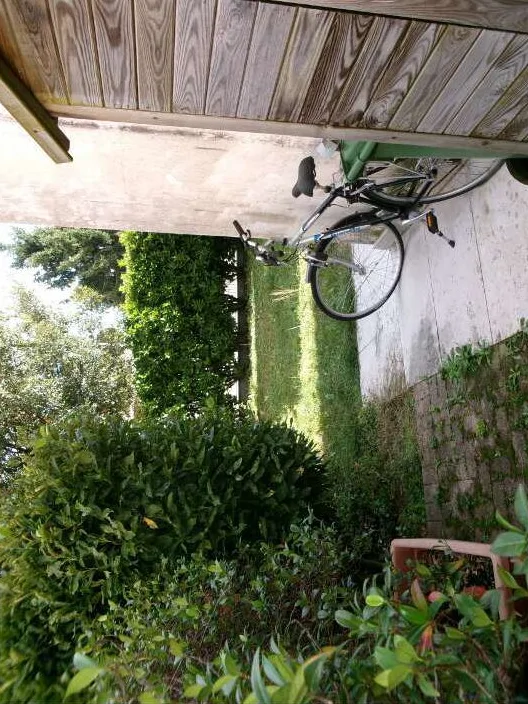 Appartamento con scoperto e garage a Carbonera