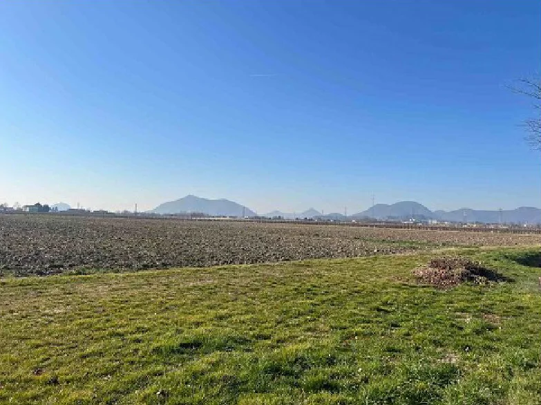 Quattro terreni agricoli a Due Carrare