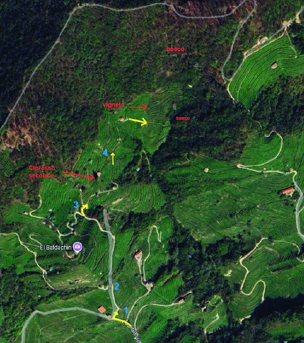 Terreni agricoli a vigneto e bosco in Farra di Soligo