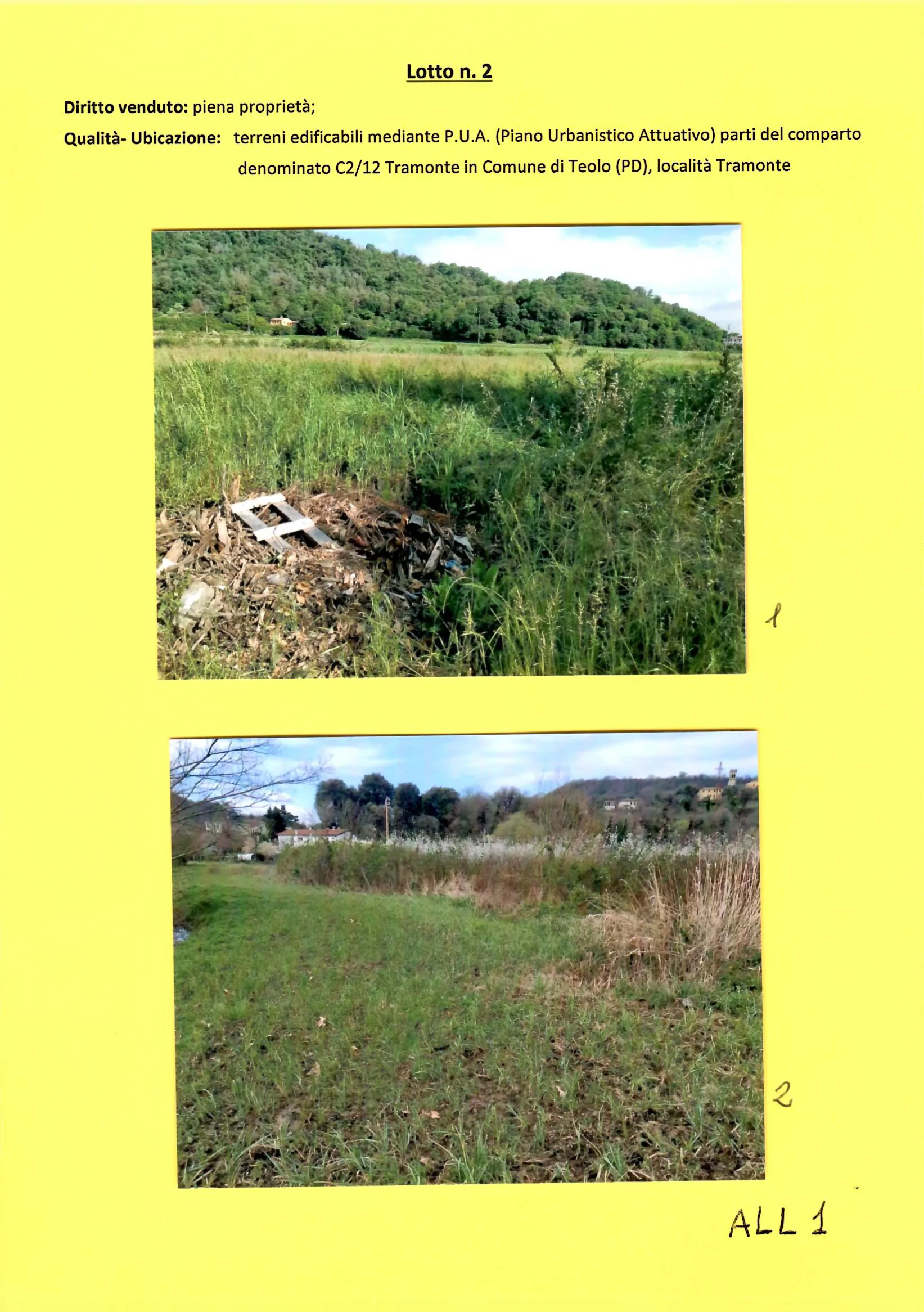 Terreno edificabile mq 18.225 in Teolo, loc. Tramonte