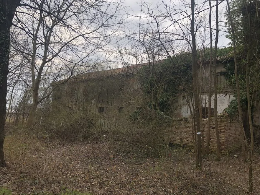 Fabbricato rurale collabente con rustico e terreni a Oderzo, Faè - 007