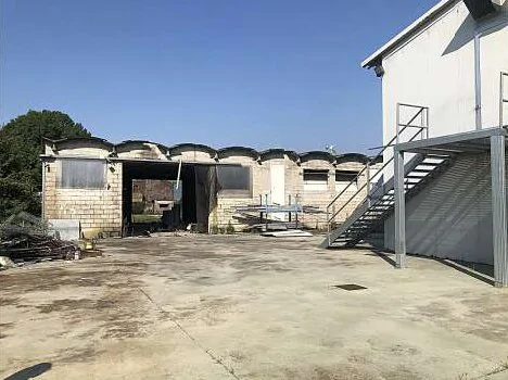 Capannoni rurali per allevamento avicolo con terreno agricolo